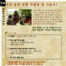 씨앗이야기 이미지
