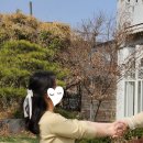 시은토탈헤어 네이버블로그