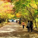 푸른농원민박 이미지