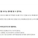 벼락마켓