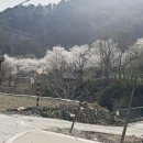 영월약수터 오토캠핑장 이미지