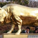 별난돼지 이미지