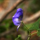 나의목장 이미지