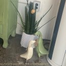 오더블유오 이미지