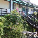 독도펜션 이미지