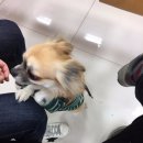 바라봄동물병원 이미지