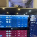 서동물병원 | 1월 일상이거등요🫠