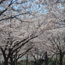 내몸살리는 요가(C반) | 올림픽 수영장 상급반 후기