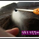 농부의뜰 Daum카페
