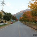 용부원1리 이미지