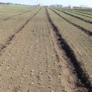 농지목장 이미지