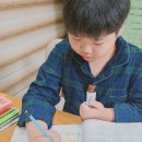 042-1 | 아이 키크는법 어린이 키성장 영양제 HT042 키클래오042 7개월 후기!