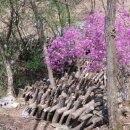 신한농장 이미지