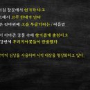 아마존수족관 - 연제구 월드컵대로 17 | 아마존수족관