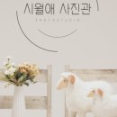 시월애사진관
