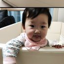 찬누리유치원 이미지