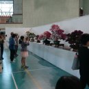 호암체육관 이미지