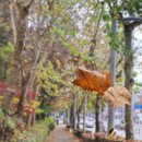 탄화 - 강남구 | 탄화