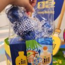 고랑몰랑 | 제주 풋귤로 만든 술 고랑몰랑 팝업 솔직후기