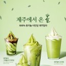 폴바셋강남삼성타운점 네이버블로그
