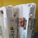 무리개농장 이미지