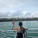 유로운 | 제주 판포포구 스노클링 후기｜제주 서쪽 스노쿨링 명소, 에메랄드 바다에 여름휴가