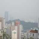 금호산(부대입구) 이미지