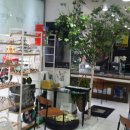 씨앤아이안경원 이미지