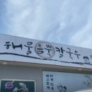 해물을 품은 칼국수 네이버블로그