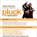 플럭(PLUCK) - 연수구 | 플럭(PLUCK)