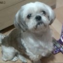 용현초등학교 이미지