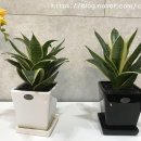 초록마취통증의학과의원 이미지