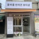 올바름 반려견 뷰티샵 | 답십리 애견 미용 잘하는 곳인 올바름 반려견 뷰티샵