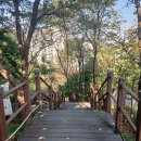 봉제산 오리나무쉼터 | 단독) 서울에 봉제산 둘레길 있다. "알면 고마워"