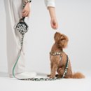 워크라인 이미지