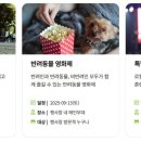 봄내동물병원 이미지