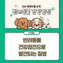 두류동물병원 네이버블로그