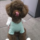 개편하개 네이버블로그