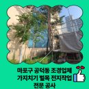 공덕동주민센터 화장실 | 마포구 공덕동 조경업체 가지치기 벌목 전지작업 전문 공사