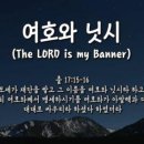 닛시 이미지