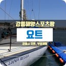 컬링팜 | 강릉 무료요트체험, 강릉해양스포츠팜 요트체험 후기 및 신청방법