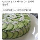 민트스토리 이미지