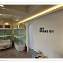 라이프독 강릉점 24시 강아지분양 고양이분양 이미지