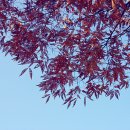 고성여자중학교 이미지