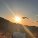 맘스터치(우정점) | 260124 제주살이 4일차