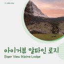 아이거 | 스위스 신혼여행 그린델발트 아이거뷰 알파인 로지 후기