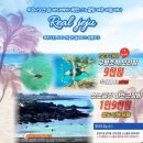 푸르다펜션 | 월령포구 바로 앞 오션뷰 숙소인 푸르다오션 펜션 이용 후기