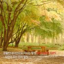 알프스게임하우스 | 광활한 대자연으로 떠나는 힐링 해외 여행지 TOP5 - 자연이 주는 진짜 힐링