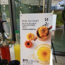 다은차문화 이미지