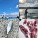 세븐일레븐부산기장대변항점 | [공지] 부산 낚시 체험 기장 대변항 고등어 낚시터 첫도전 후기